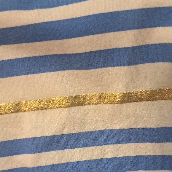 Lilly Pulitzer Striped Blue and Pink  Dress - Picture 3 of 5